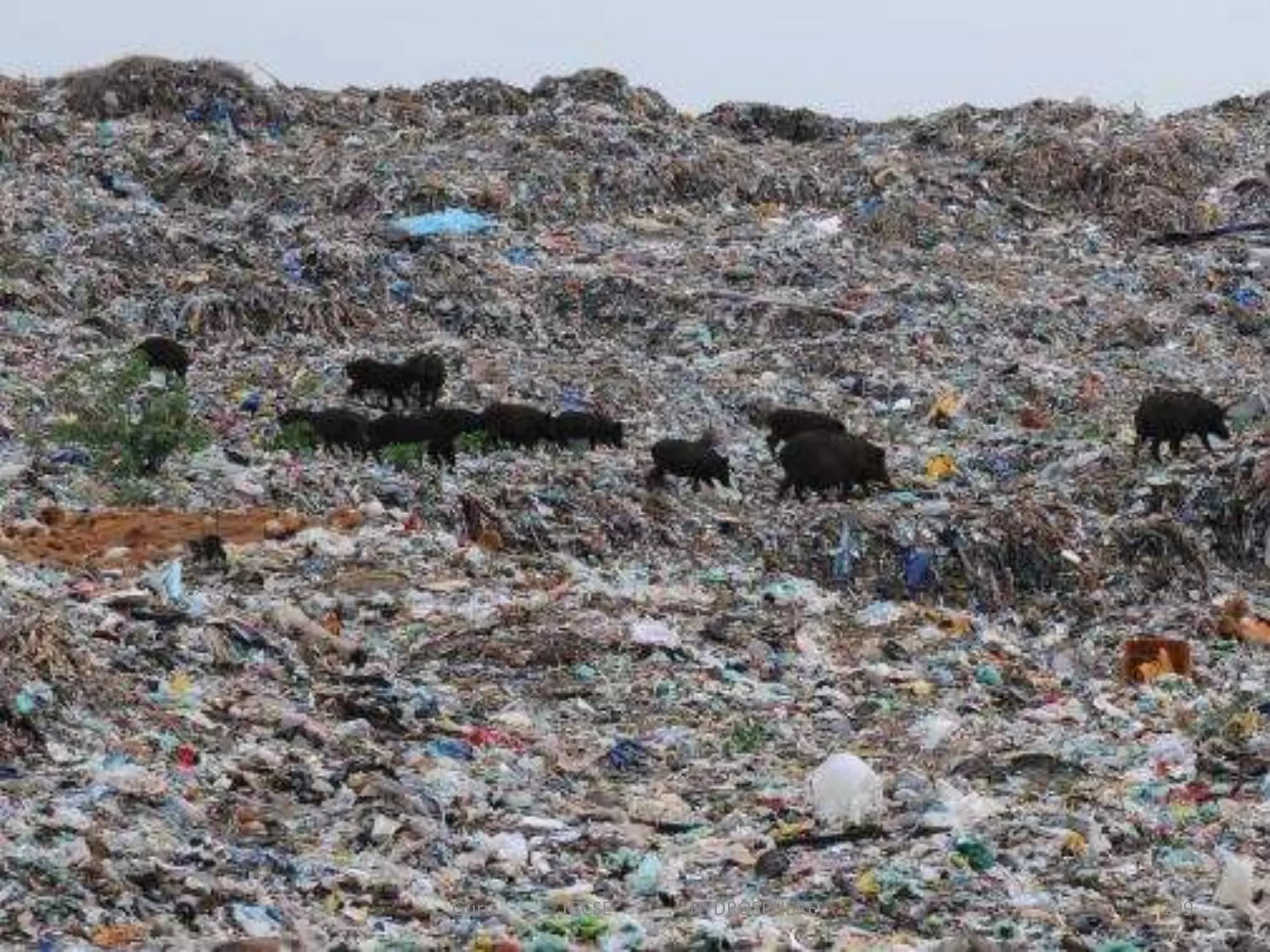 199Guru IGCSE HYDROSPHERE
 