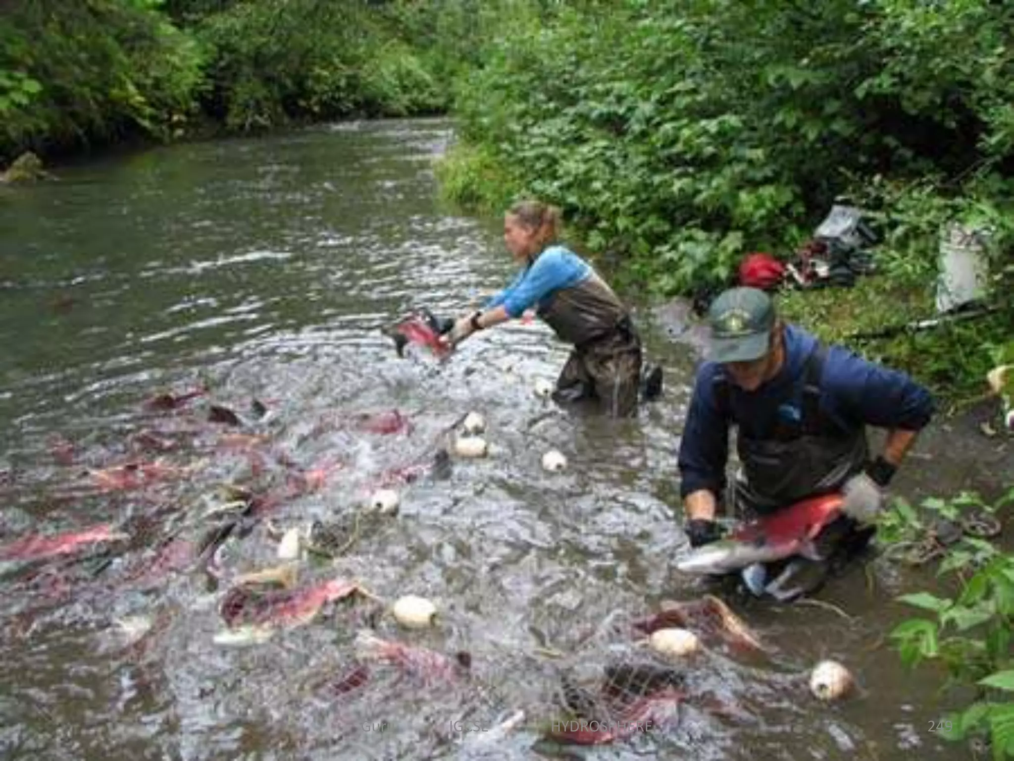 249Guru IGCSE HYDROSPHERE
 