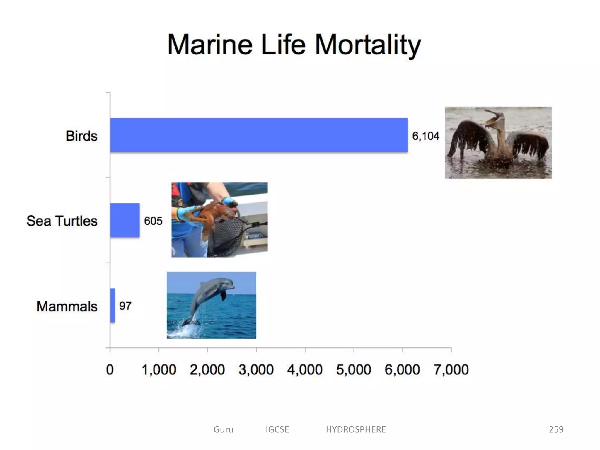 259Guru IGCSE HYDROSPHERE
 