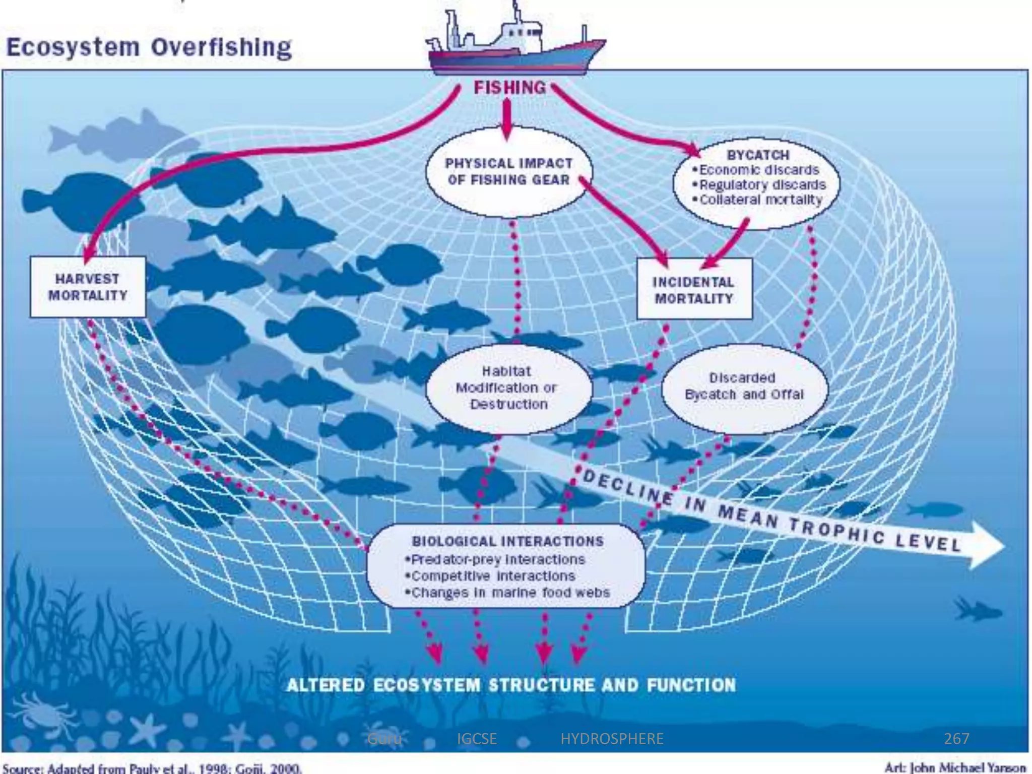 267Guru IGCSE HYDROSPHERE
 