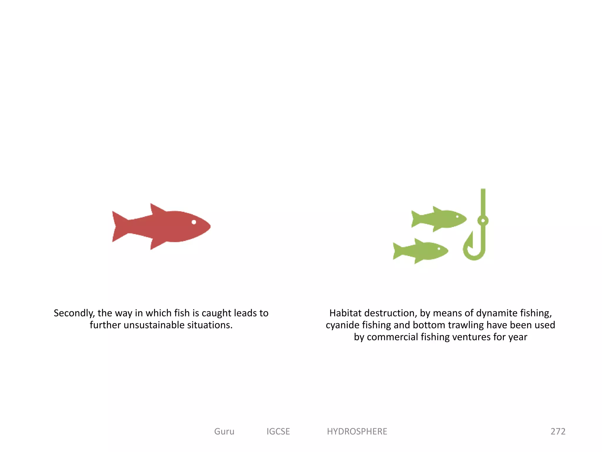 Secondly, the way in which fish is caught leads to
further unsustainable situations.
Habitat destruction, by means of dynamite fishing,
cyanide fishing and bottom trawling have been used
by commercial fishing ventures for year
272Guru IGCSE HYDROSPHERE
 