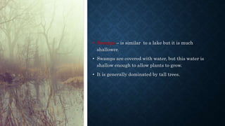 • Swamps – is similar to a lake but it is much
shallower.
• Swamps are covered with water, but this water is
shallow enough to allow plants to grow.
• It is generally dominated by tall trees.
 