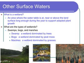Other Surface Waters
 What is a wetland?
 An area where the water table is at, near or above the land
surface long enough during the year to support adapted plant
growth
 What are the types of wetlands?
 Swamps, bogs, and marshes
 Swamp: a wetland dominated by trees
 Bogs: a wetland dominated by peat moss
 Marshes: a wetland dominated by grasses
 