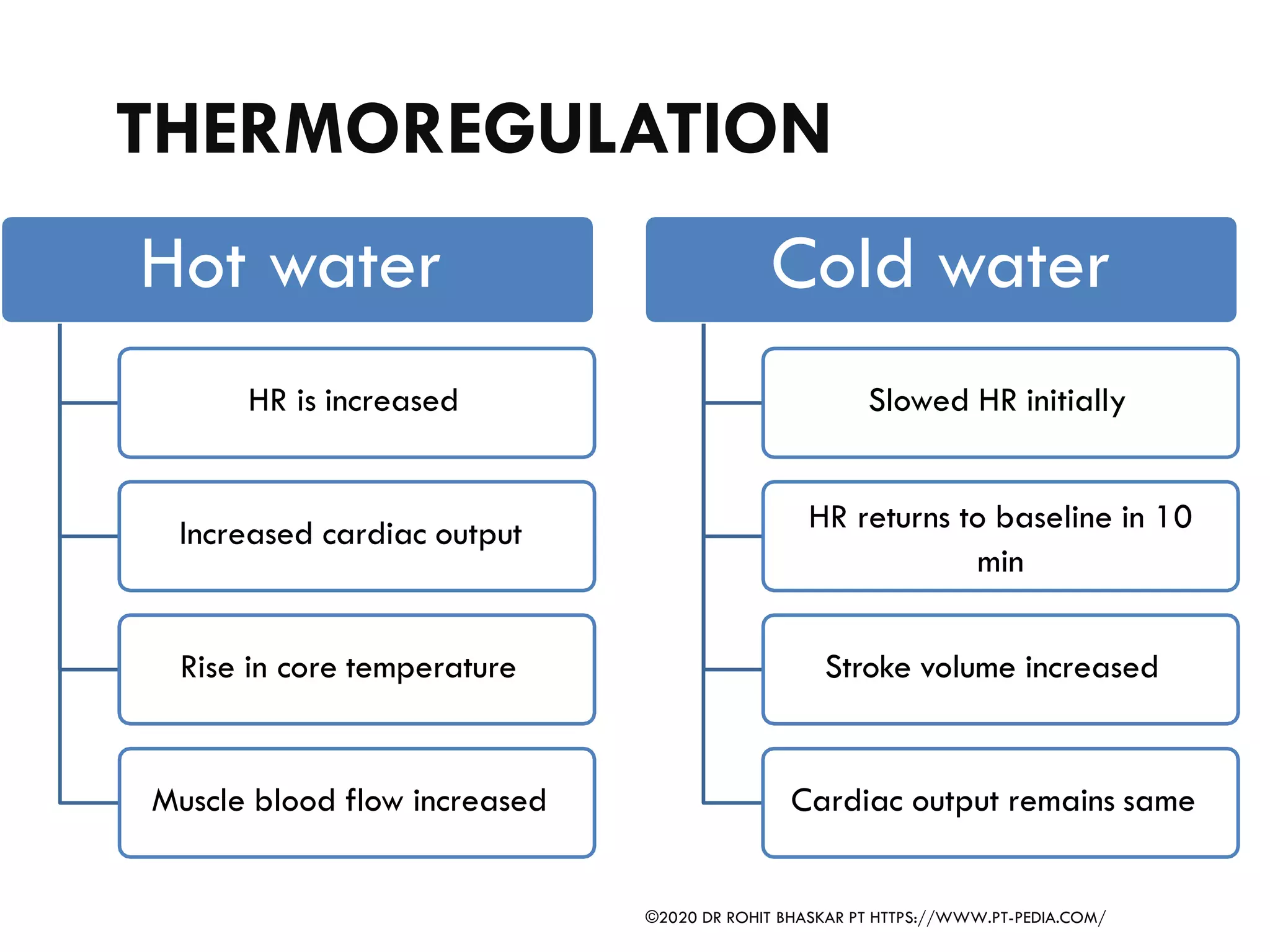 THERMOREGULATION
HR is increased
Increased cardiac output
Rise in core temperature
Muscle blood flow increased
Hot water Cold water
Slowed HR initially
HR returns to baseline in 10
min
Stroke volume increased
Cardiac output remains same
©2020 DR ROHIT BHASKAR PT HTTPS://WWW.PT-PEDIA.COM/
 