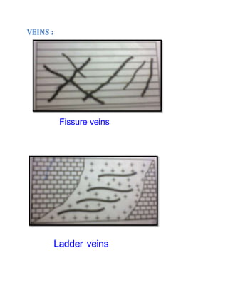 VEINS :
Fissure veins
Ladder veins
 
