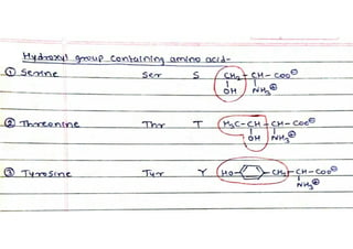 Hydroxyl Group containing Amino acids