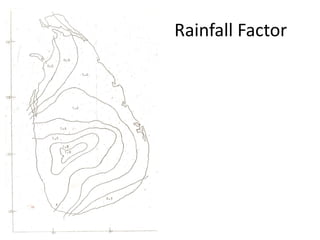 Rainfall Factor
 