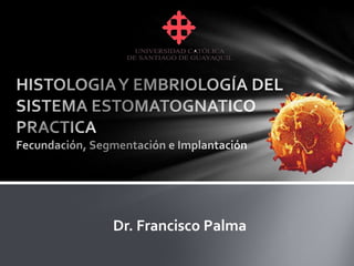 Dr. Francisco Palma
 