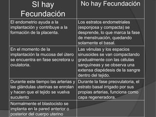 SI hay
Fecundación
No hay Fecundación
El endometrio ayuda a la
implantación y contribuye a la
formación de la placenta.
Los estratos endometriales
(esponjosa y compacta) se
desprende, lo que marca la fase
de menstruación, quedando
solamente el basal.
En el momento de la
implantación la mucosa del útero
se encuentra en fase secretora u
ovulatoria.
Las vénulas y los espacios
sinusoides se van compactando
gradualmente con las células
sanguíneas y se observa una
extensa diapédesis de la sangre
dentro del tejido.
Durante este tiempo las arterias y
las glándulas uterinas se enrolan
y hacen que el tejido se vuelva
suculento
Durante la fase preovulatoria, el
estrato basal irrigado por sus
propias arterias, funciona como
capa regeneradora.
Normalmente el blastocisto se
implanta en la pared anterior o
posterior del cuerpo uterino
 
