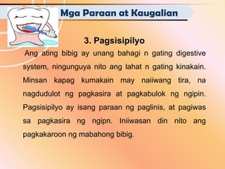 Mga Paraan at Kaugalian

                 3. Pagsisipilyo
Ang ating bibig ay unang bahagi n gating digestive
system, ningunguya nito ang lahat n gating kinakain.
Minsan kapag kumakain may naiiwang tira, na
nagdudulot ng pagkasira at pagkabulok ng ngipin.
Pagsisipilyo ay isang paraan ng paglinis, at pagiwas
sa pagkasira ng ngipn. Iniiwasan din nito ang
pagkakaroon ng mabahong bibig.
 