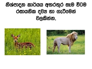 ksYamdok ld¾hh w;r;=r iEu úgu
ridhksl ¯jH yd .eàfuka
j,lskak"
 