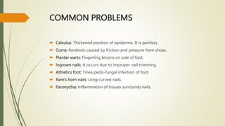 COMMON PROBLEMS
 Calculus: Thickened position of epidermis. It is painless.
 Corns: Keratosis caused by friction and pressure from shoes.
 Plantar warts: Fingerling lesions on sole of foot.
 Ingrown nails: It occurs due to improper nail trimming,
 Athletics foot: Tinea pedis-fungal infection of foot.
 Ram's horn nails: Long curved nails.
 Paronychia: Inflammation of tissues surrounds nails.
 