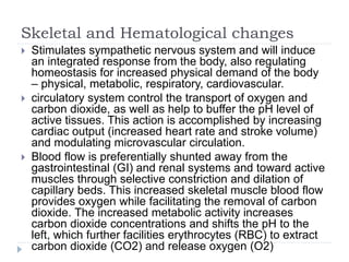 Skeletal and Hematological changes
 Stimulates sympathetic nervous system and will induce
an integrated response from the body, also regulating
homeostasis for increased physical demand of the body
– physical, metabolic, respiratory, cardiovascular.
 circulatory system control the transport of oxygen and
carbon dioxide, as well as help to buffer the pH level of
active tissues. This action is accomplished by increasing
cardiac output (increased heart rate and stroke volume)
and modulating microvascular circulation.
 Blood flow is preferentially shunted away from the
gastrointestinal (GI) and renal systems and toward active
muscles through selective constriction and dilation of
capillary beds. This increased skeletal muscle blood flow
provides oxygen while facilitating the removal of carbon
dioxide. The increased metabolic activity increases
carbon dioxide concentrations and shifts the pH to the
left, which further facilities erythrocytes (RBC) to extract
carbon dioxide (CO2) and release oxygen (O2)
 
