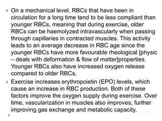  On a mechanical level, RBCs that have been in
circulation for a long time tend to be less compliant than
younger RBCs, meaning that during exercise, older
RBCs can be haemolyzed intravascularly when passing
through capillaries in contracted muscles. This activity
leads to an average decrease in RBC age since the
younger RBCs have more favourable rheological [physic
– deals with deformation & flow of matter]properties.
Younger RBCs also have increased oxygen release
compared to older RBCs.
 Exercise increases erythropoietin (EPO) levels, which
cause an increase in RBC production. Both of these
factors improve the oxygen supply during exercise. Over
time, vascularization in muscles also improves, further
improving gas exchange and metabolic capacity.
 