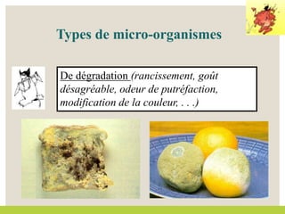 De dégradation (rancissement, goût
désagréable, odeur de putréfaction,
modification de la couleur, . . .)
Types de micro-organismes
 