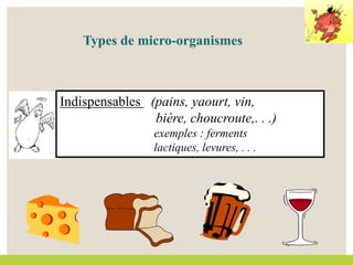 Indispensables (pains, yaourt, vin,
bière, choucroute,. . .)
exemples : ferments
lactiques, levures, . . .
Types de micro-organismes
 
