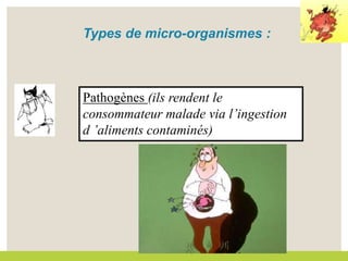 Pathogènes (ils rendent le
consommateur malade via l’ingestion
d ’aliments contaminés)
Types de micro-organismes :
 