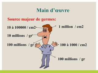 1 million / cm2
10 à 100000 / cm2
100 à 1000 / cm2
10 millions / gr
100 millions / gr
100 millions / gr
Main d’œuvre
Source majeur de germes:
 