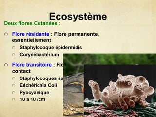 Ecosystème
Deux flores Cutanées :
Flore résidente : Flore permanente,
essentiellement
Staphylocoque épidermidis
Corynébactérium
Flore transitoire : Flore de passage acquise par
contact
Staphylocoques auréus
Eschérichia Coli
Pyocyanique
10 à 10 /cm
3 28
 