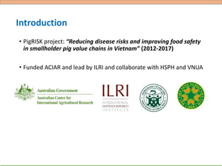 Hygiene and microbial contamination along the pork value chain in Vietnam