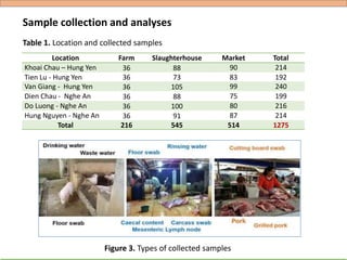 Hygiene and microbial contamination along the pork value chain in Vietnam