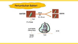 Pertumbuhan Bakteri
IDENTIK
BAKTERI
17 x 10 juta
8 jam
ALAT DAPUR
(Talenan Kayu)
750.000
per cm2
10 M
8 jam
BELAH
DIRI
20 ...