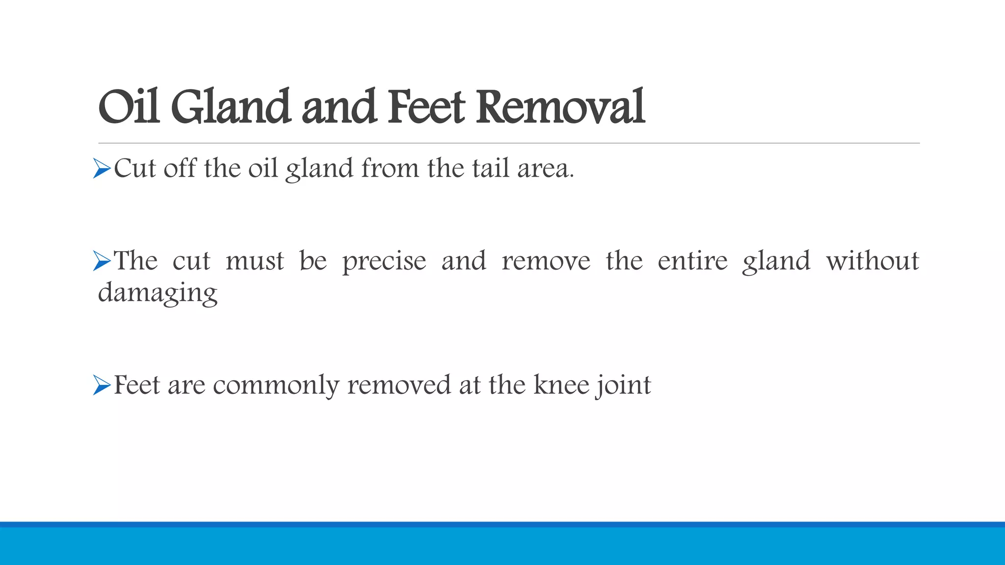 Oil Gland and Feet Removal
Cut off the oil gland from the tail area.
The cut must be precise and remove the entire gland without
damaging
Feet are commonly removed at the knee joint
 