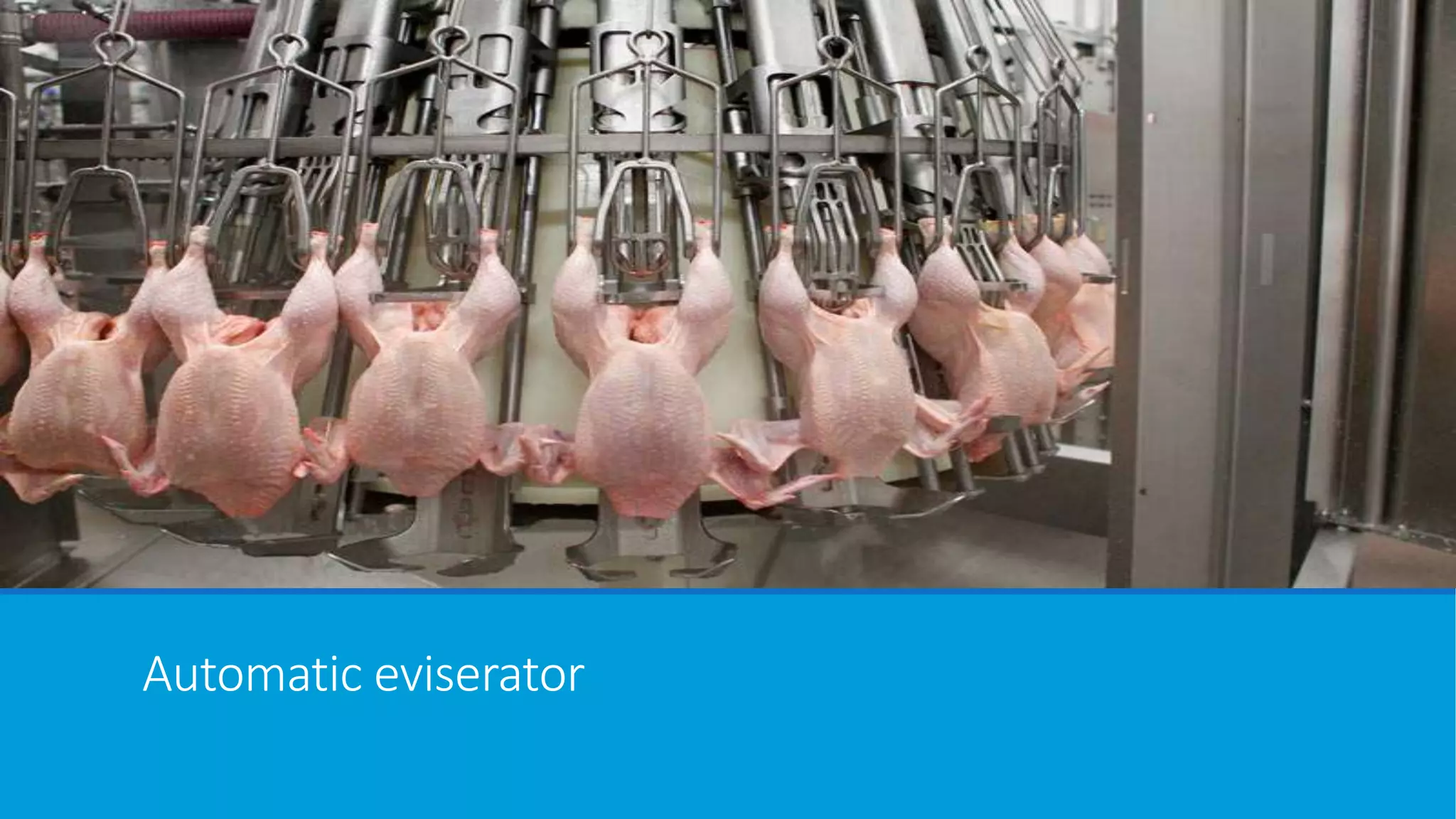 Automatic eviserator
 