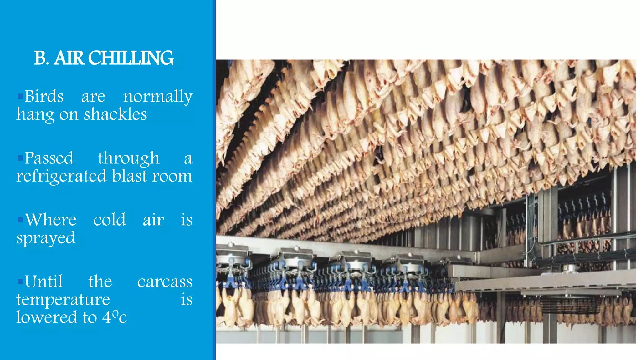B. AIR CHILLING
Birds are normally
hang on shackles
Passed through a
refrigerated blast room
Where cold air is
sprayed
Until the carcass
temperature is
lowered to 40c
 