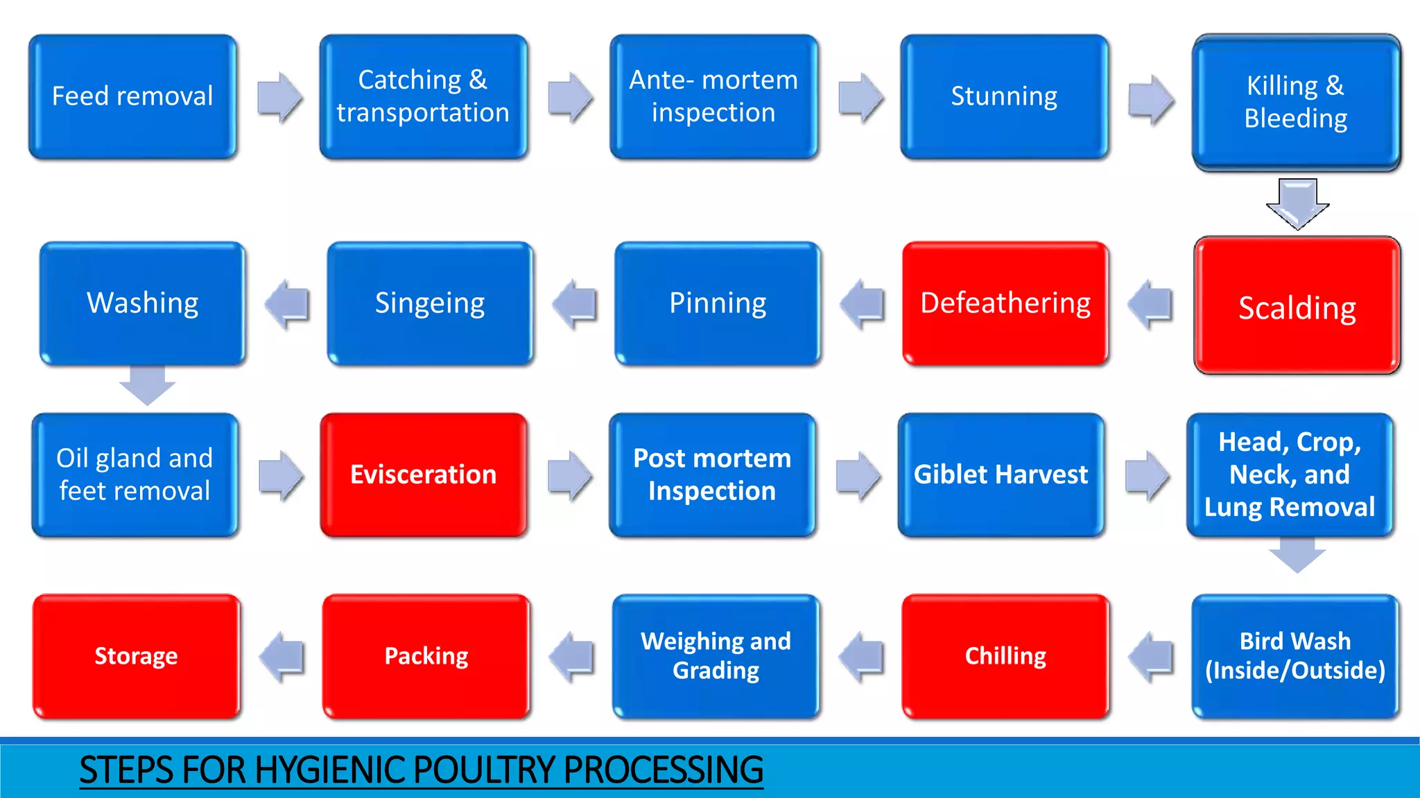Scalding
STEPS FOR HYGIENIC POULTRY PROCESSING
Feed removal
Catching &
transportation
Ante- mortem
inspection
Stunning Killing &
Bleeding
DefeatheringPinningSingeingWashing
Oil gland and
feet removal
Evisceration
Post mortem
Inspection
Giblet Harvest
Head, Crop,
Neck, and
Lung Removal
Bird Wash
(Inside/Outside)
Chilling
Weighing and
Grading
PackingStorage
 
