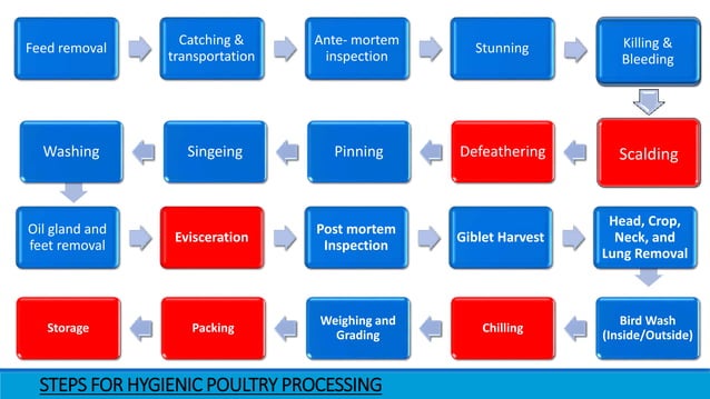 Hygienic poultry processing | PPTX | Agriculture | Industries