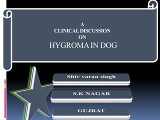 A
CLINICALDISCUSSION
ON
HYGROMAIN DOG
 
