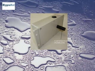 In wall temperature /humidity probe
