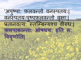 ‘अपुष्पा: फ़लिन्तो िनस्पतयः|
िनस्पतयःपुष्पफ़लिन्तो िृक्षा:|
प्रतानित्य: स्तश्म्बन्यचच िीरुध:|
 