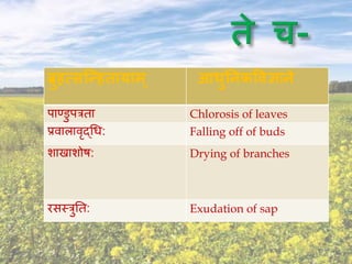 ब्रुहत्र्न्हहतायाम ् आधुनिकववज्ञािे
पाण्डुपत्रता Chlorosis of leaves
प्रिालािृद्चध: Falling off of buds
शाखाशोष: Drying of branches
रसस्त्रुनत: Exudation of sap
 