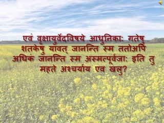 Ppt sanskrit