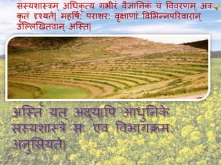 सस्यशास्त्रम् अचधकृ त्य गभीरं िैज्ञाननकं च वििरिम् अत्र
कृ तं दृचयते| मिवषव: पराशर: िृक्षािां विमभन्नपररिारान ्
उश्ललणखतिान ् अश्स्त|
 
