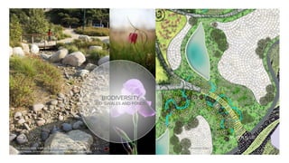 BIODIVERSITY
BIO-SWALES AND PONDS
Dry stream (left), fritillary (up), iris (down)source, see:
https://www.pinterest.se/galiarapture/hyllie-park-inspiration/
NORTH IS UP
10m
 
