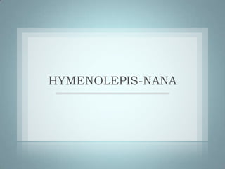 HYMENOLEPIS-NANA
 