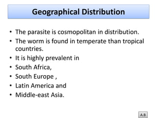 Hymenolepis nana- Dwarf Tapeworm | PDF