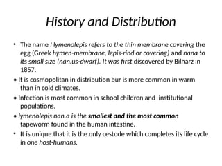 Humya Rind Hymenolepis Nana required by the worked k | PPTX