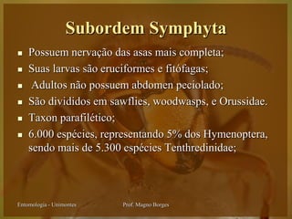 Subordem Symphyta
   Possuem nervação das asas mais completa;
   Suas larvas são eruciformes e fitófagas;
    Adultos não possuem abdomen peciolado;
   São divididos em sawflies, woodwasps, e Orussidae.
   Taxon parafilético;
   6.000 espécies, representando 5% dos Hymenoptera,
    sendo mais de 5.300 espécies Tenthredinidae;



Entomologia - Unimontes   Prof. Magno Borges
 
