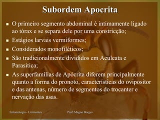 Subordem Apocrita
    O primeiro segmento abdominal é intimamente ligado
     ao tórax e se separa dele por uma constricção;
    Estágios larvais vermiformes;
    Considerados monofiléticos;
    São tradicionalmente divididos em Aculeata e
     Parasitica;
    As superfamílias de Apócrita diferem principalmente
     quanto a forma do pronoto, características do ovipositor
     e das antenas, número de segmentos do trocanter e
     nervação das asas.

    Entomologia - Unimontes        Prof. Magno Borges
 