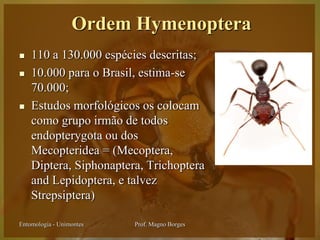 Ordem Hymenoptera
   110 a 130.000 espécies descritas;
   10.000 para o Brasil, estima-se
    70.000;
   Estudos morfológicos os colocam
    como grupo irmão de todos
    endopterygota ou dos
    Mecopteridea = (Mecoptera,
    Diptera, Siphonaptera, Trichoptera
    and Lepidoptera, e talvez
    Strepsiptera)

Entomologia - Unimontes   Prof. Magno Borges
 