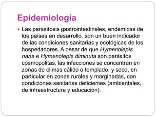 Epidemiología 
 Las parasitosis gastrointestinales, endémicas de 
los países en desarrollo, son un buen indicador 
de las condiciones sanitarias y ecológicas de los 
hospedadores. A pesar de que Hymenolepis 
nana e Hymenolepis diminuta son parásitos 
cosmopolitas, las infecciones se concentran en 
zonas de climas cálido o templado, y seco, en 
particular en zonas rurales y marginadas, con 
condiciones sanitarias deficientes (ambientales, 
de infraestructura y educación). 
 