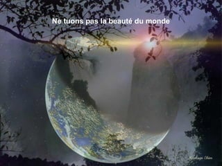 Ne tuons pas la beauté du monde
 