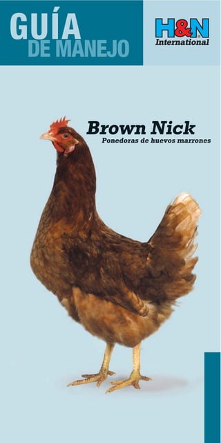 GUÍA
NEJO
  DE MANEJO


       Brown Nick
        Ponedoras de huevos marrones
 