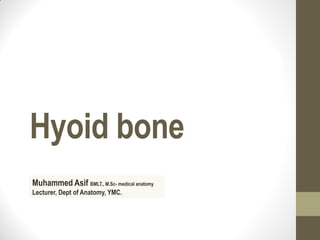 Hyoid bone
Muhammed Asif BMLT., M.Sc- medical anatomy
Lecturer, Dept of Anatomy, YMC.
 