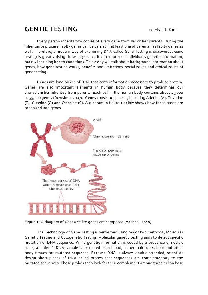 essay about genetic testing