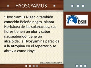 HYOSCYAMUS 1 ,[object Object],ULISES FONSECA PIMIENTA 